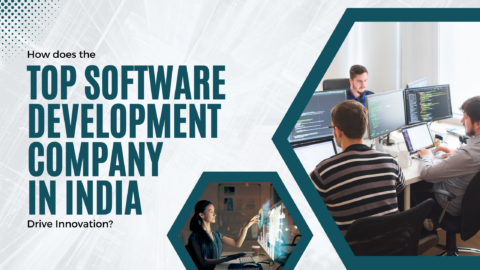 How Does the Top Software Development Company in India Drive Innovation?