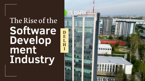 The Rise of the Software Development Industry in Delhi