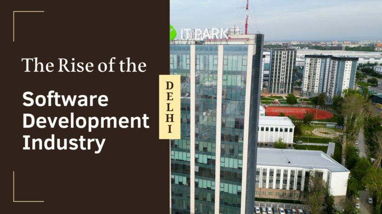The Rise of the Software Development Industry in Delhi