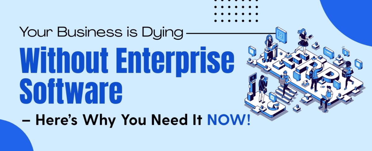 Why Your Business Needs Enterprise Software Now